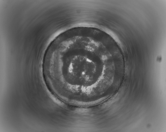 X0000102041237200808011503