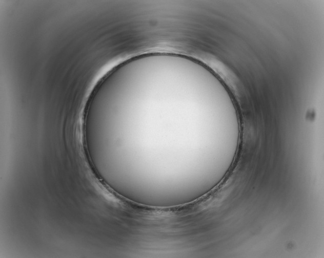 X0000102041238200808011503