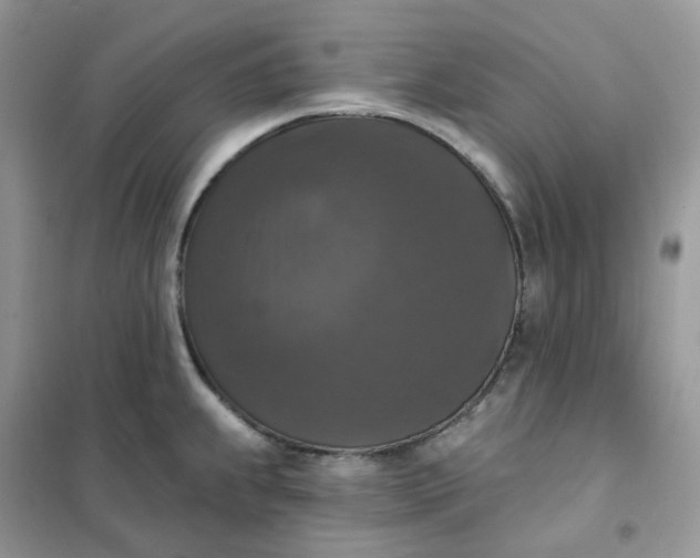 X0000102041239200808011503