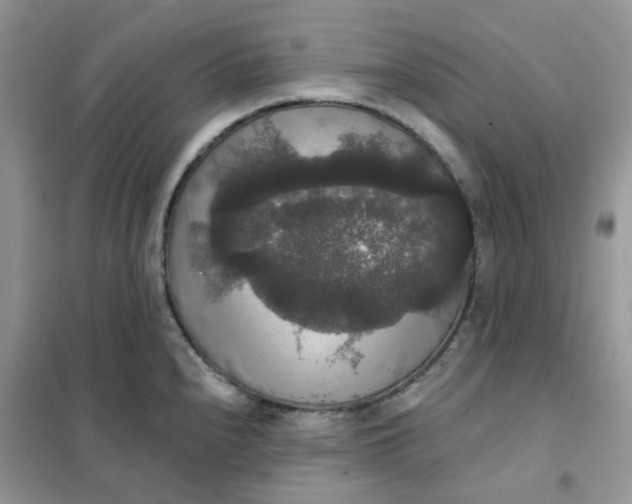 X0000102041240200808011503