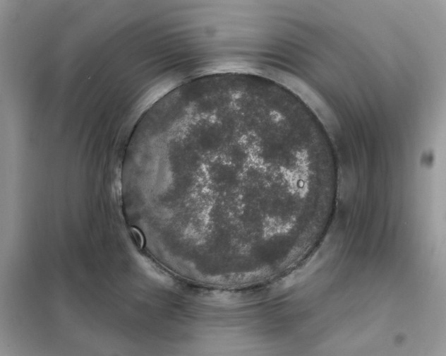 X0000102041241200808011503