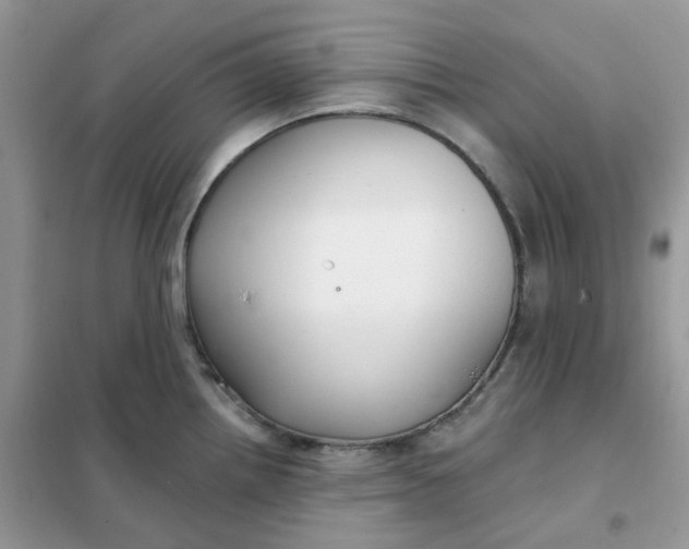 X0000102041242200808011503