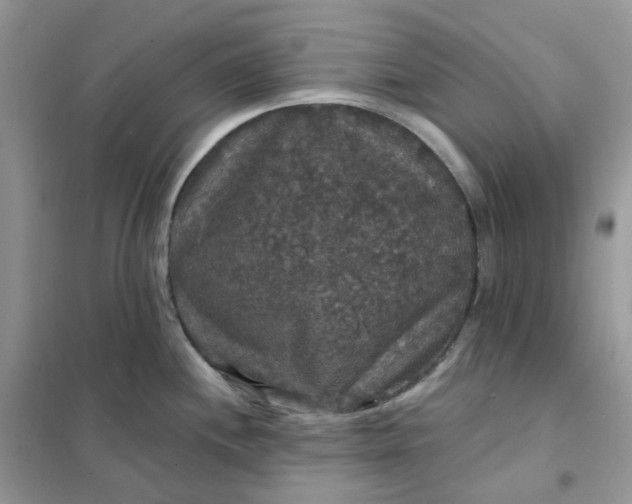 X0000102041244200808011503