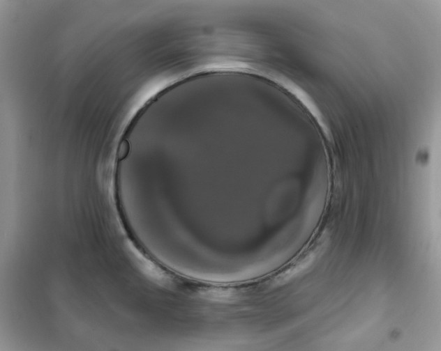 X0000102041245200808011503