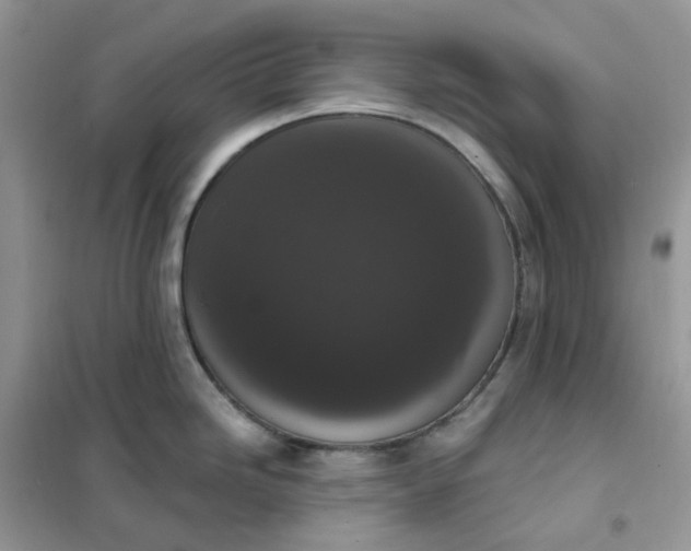 X0000102041246200808011503