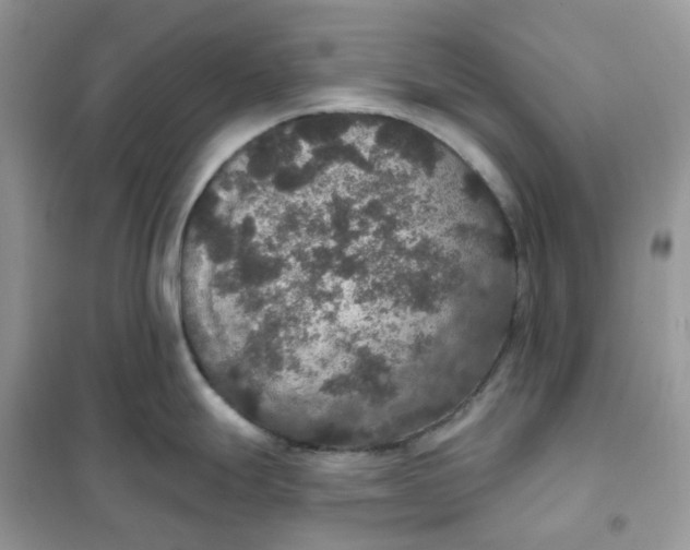 X0000102041247200808011503