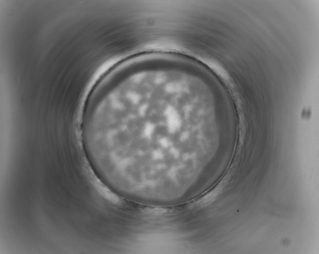 X0000102041248200808011503