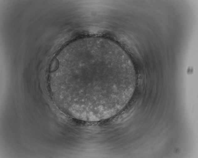 X0000102041249200808011502