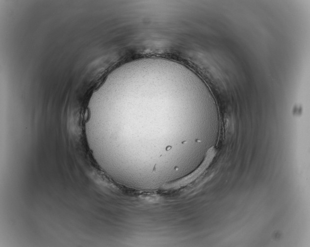 X0000102041250200808011502