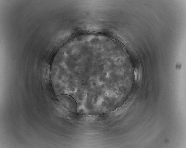 X0000102041251200808011502