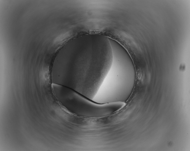 X0000102041252200808011502