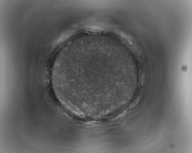 X0000102041253200808011502