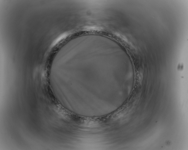 X0000102041254200808011502