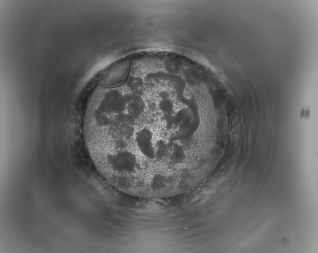 X0000102041255200808011502