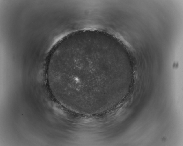 X0000102041256200808011502