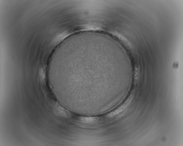 X0000102041257200808011502