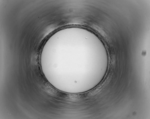 X0000102041258200808011502