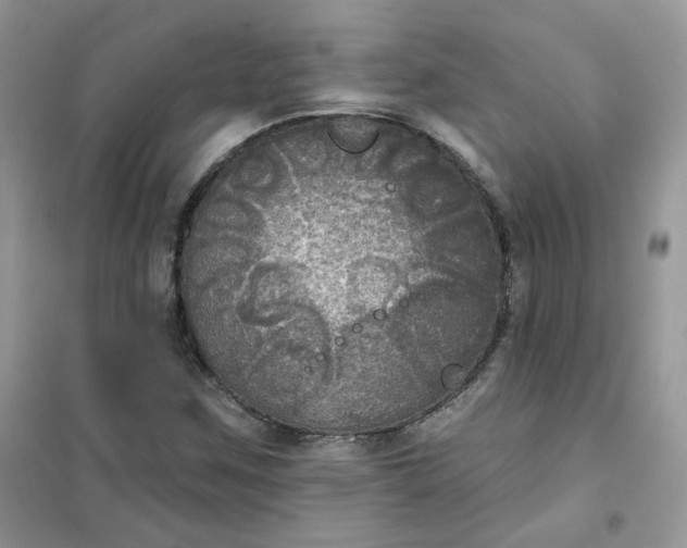 X0000102041259200808011502