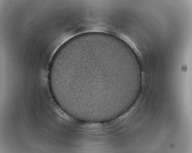 X0000102041260200808011502