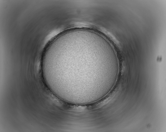 X0000102041261200808011502