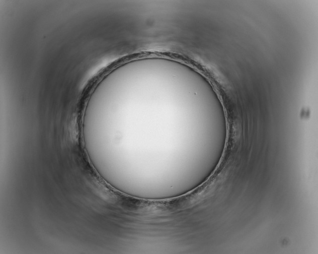 X0000102041262200808011502