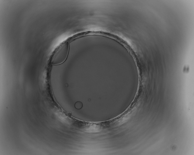 X0000102041263200808011502