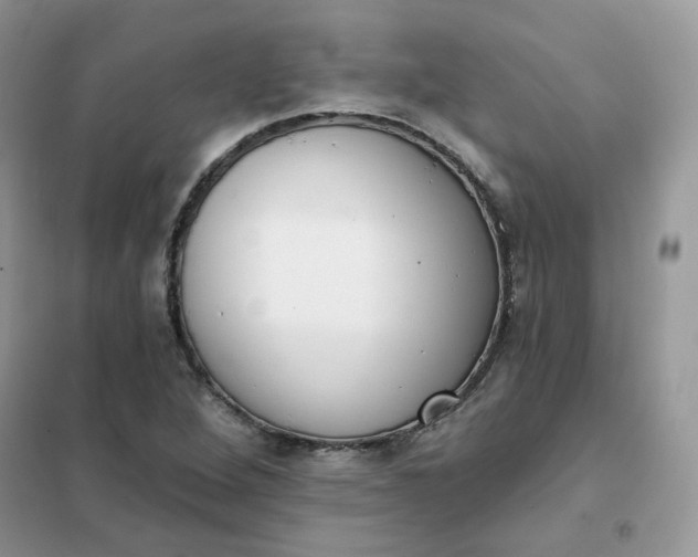 X0000102041264200808011502