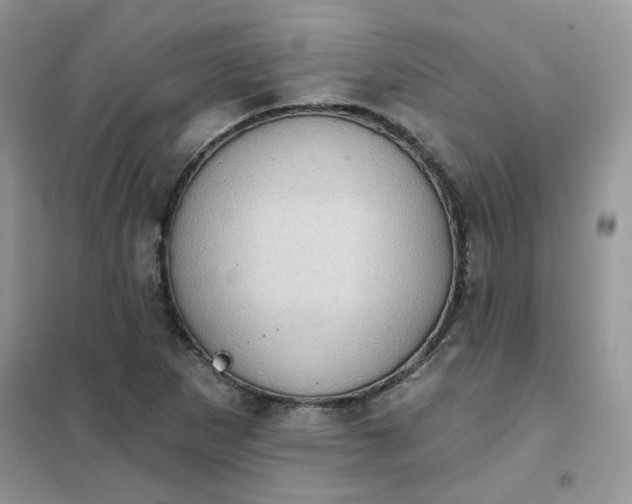 X0000102041265200808011502