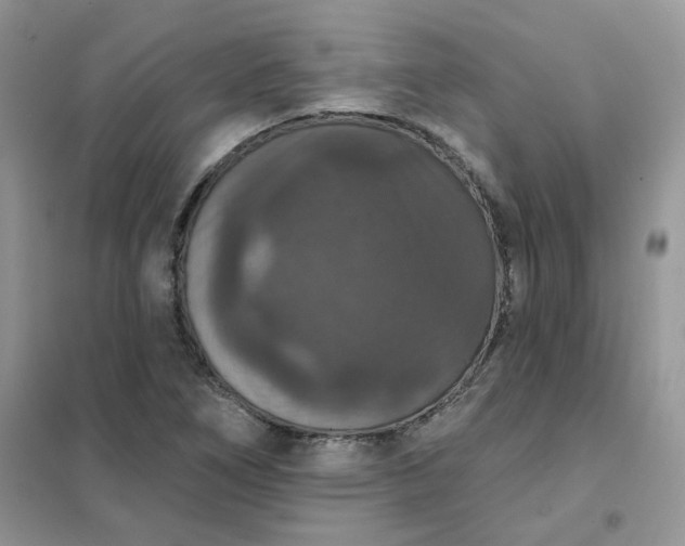 X0000102041266200808011502