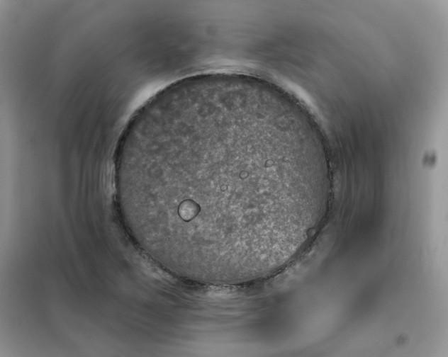 X0000102041267200808011502