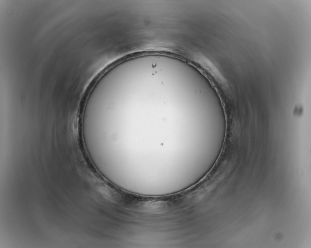 X0000102041268200808011502