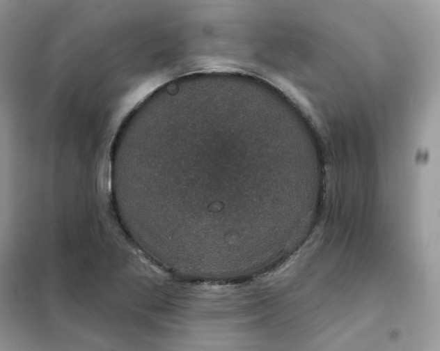 X0000102041269200808011502