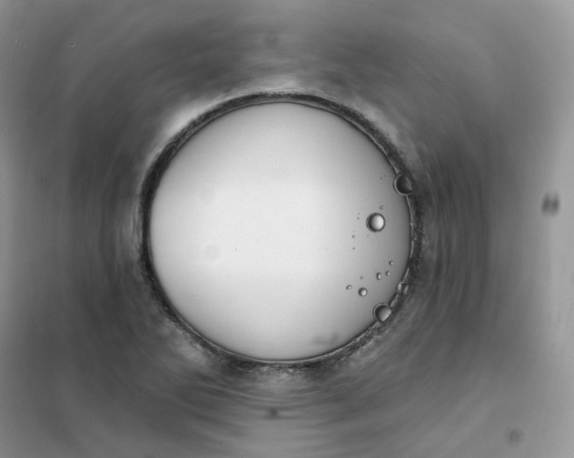 X0000102041270200808011502