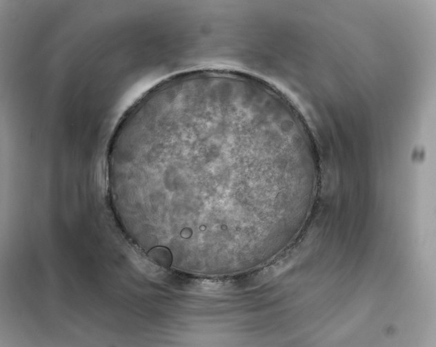 X0000102041271200808011502