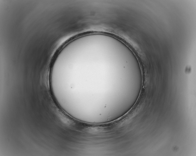 X0000102041272200808011502