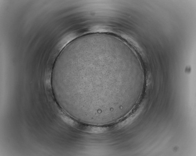 X0000102041273200808011502