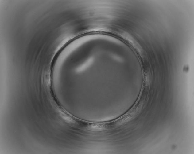 X0000102041274200808011502