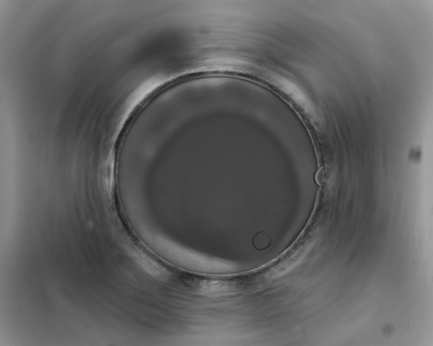 X0000102041275200808011502