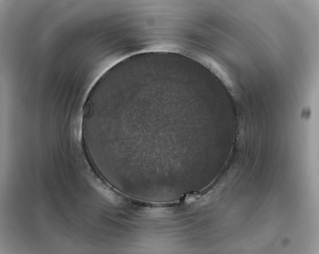 X0000102041276200808011502