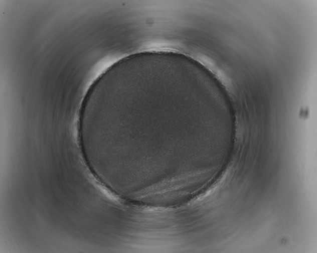 X0000102041277200808011502