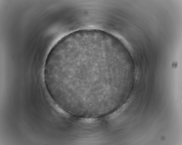 X0000102041278200808011502