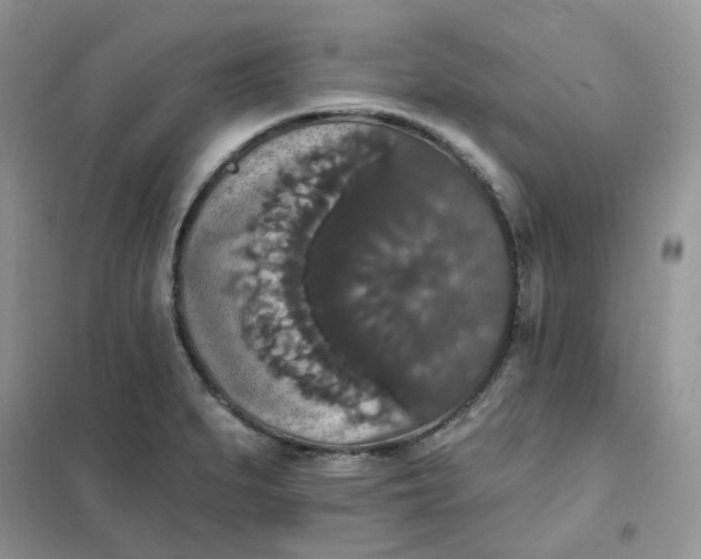 X0000102041279200808011502