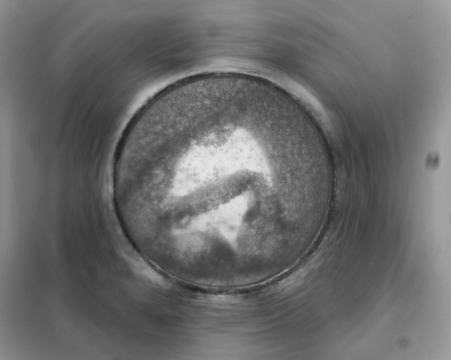 X0000102041280200808011502