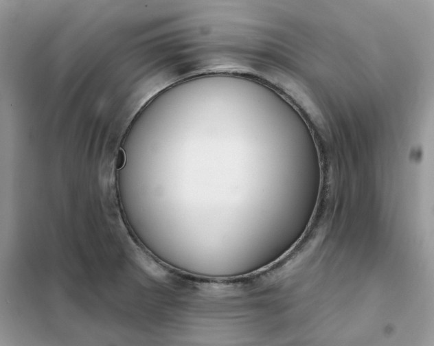 X0000102041281200808011502