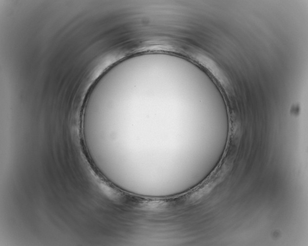 X0000102041282200808011502