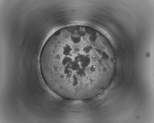 X0000102041283200808011502