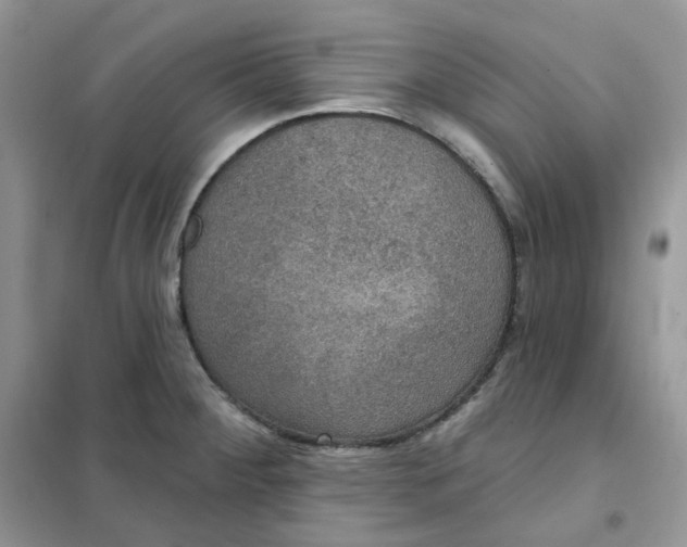 X0000102041284200808011502