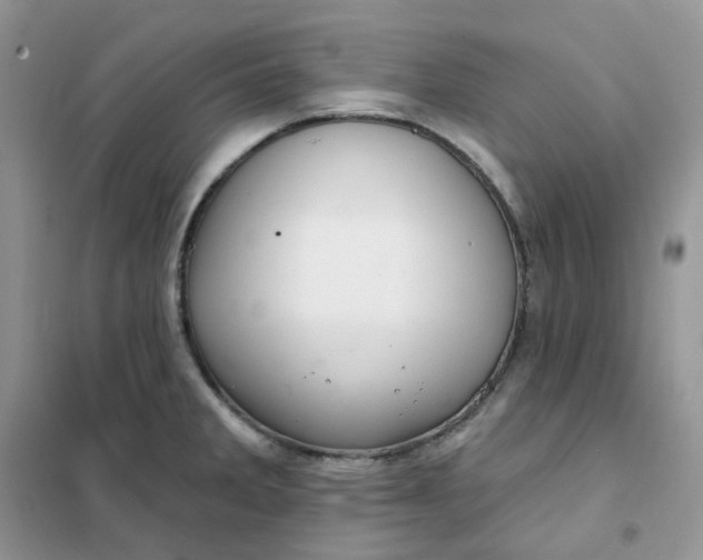 X0000102041285200808011502