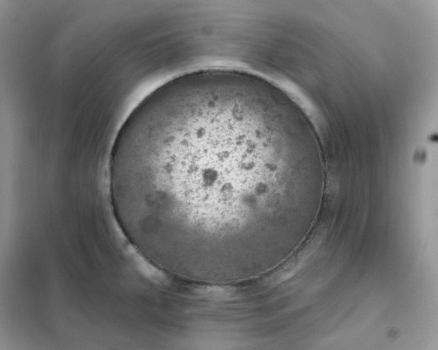 X0000102041287200808011502