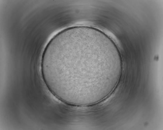 X0000102041288200808011502